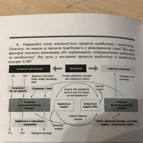 | 4. Опрацюйте схему взаємозв'язку процесів катаболізму і анаболізму, Поясніть, чи завжди ці процеси