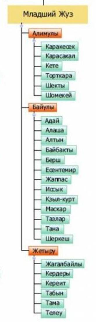 Название родов младший жуз