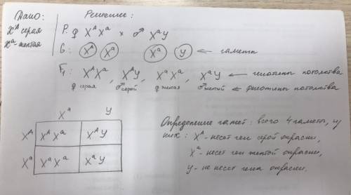 Решите задачу (составьте схему решения задачи): Какое потомство получится от скрещивания гетерозигот