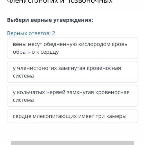 ОТ ОТВЕТЬТЕ ПРАВИЛЬНО