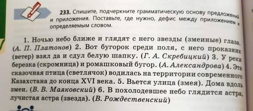 подчеркните приложение 233. Спишите, подчеркните грамматическую и приложения. Поставьте, где нужно,