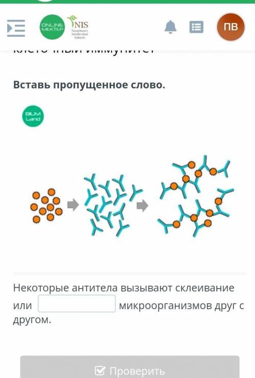 Вставь пропущенное слово. Land Некоторые антитела вызывают склеивание микроорганизмов друг с ИЛИ дру