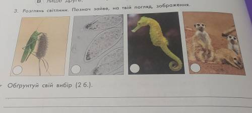 3. Розглянь світлини. Познач зайве, на твій погляд, зображення. До іть, будь ласка