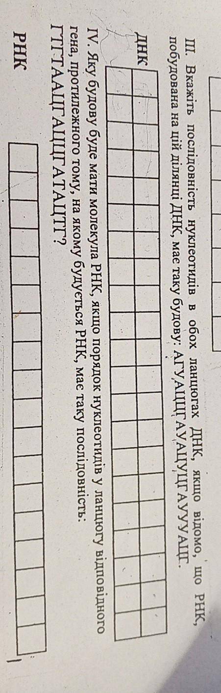 II. Вкажіть послідовність нуклеотидів в обох ланцюгах ДНК, якщо відомо, що РНК, побудована на цій ді