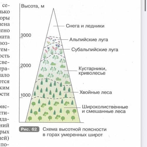 , (последнее задание фото прикрепила выше) 1. Объясните разнообразие природных комплексов на Земле.