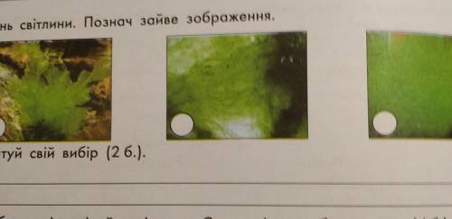 3 E 4. Розглянь світлини. Познач зайве зображення.