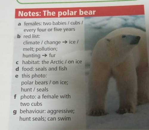 Notes: The polar bear a females two babiesiaubs every four or five years b red list climate change →