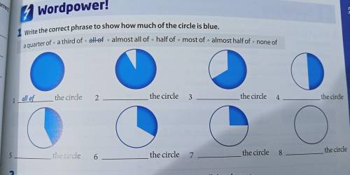 Write the correct phrase to show how much of the circle is blue.