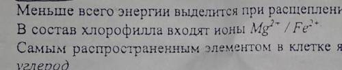 в состав хлорофилла входят..