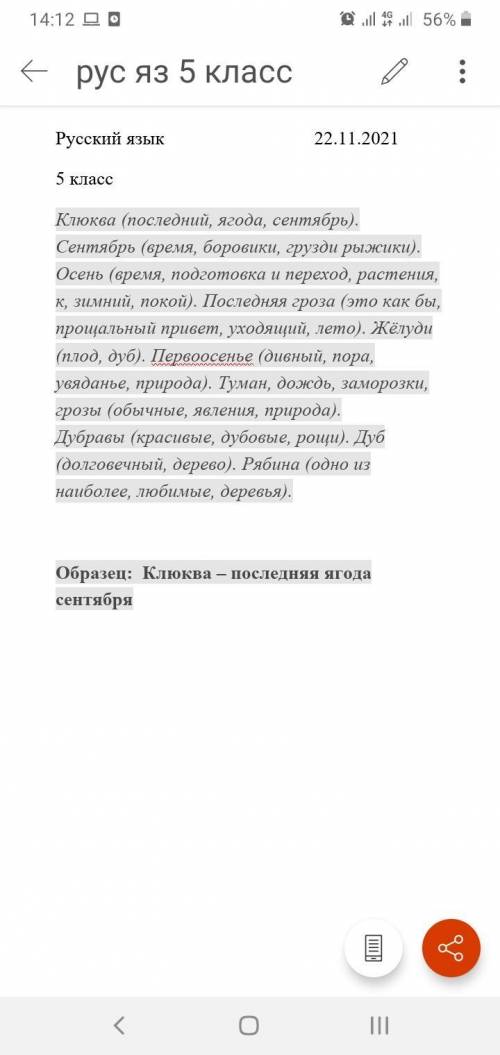 Составьте предложения, используя слова, данные в скобках, измените, если нужно, их форму. Поставьте