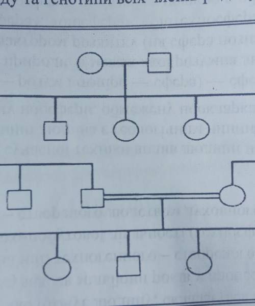 Для сім'ї зі спадковим захворюванням складений родовід 1. скільки поколінь людей зображено в родовод