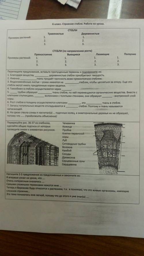 Решите плз где надо вставлять слова