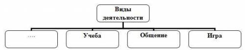 Заполните схему. виды деятельности