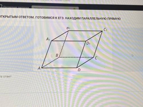 Дан параллелепипед ABCDA1B1C1D1. Постройте или укажите на рисунке прямую, проходящую через точку В п