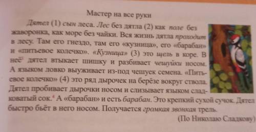 5. Спишите текст, разделяя его на содержательные части. Поставьте там, где нужно, вместо цифр тире.