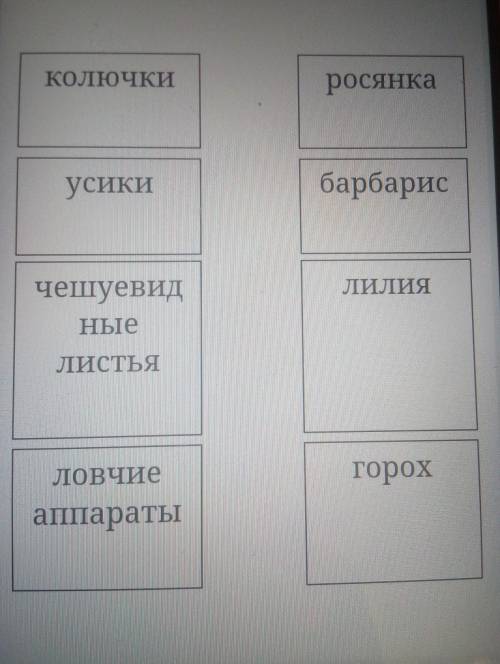 Какие растения соответствуют данные видоизменения листьев?