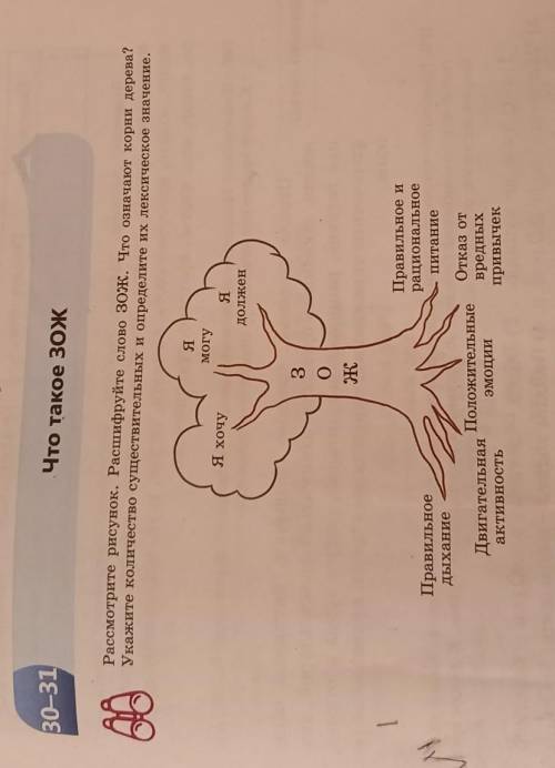 Рассмотрите рисунок. Расшифруйте слово ЗОЖ. Что означают корни дерева? Укажите количество существите