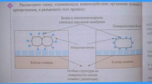 ОТ КТО НИБУДЬ С ЭТОЙ СХЕМОЙ.