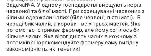 У одному господарстві вирощують корів червоної та білої масти. дальше на скрине все