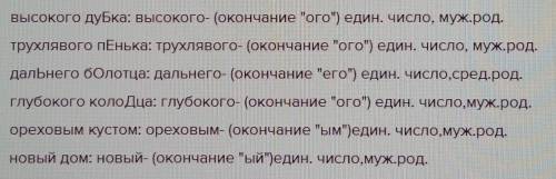 Зеркало 5. Выпиши словосочетания существительное + прилагательное. определи число и род имён прилага