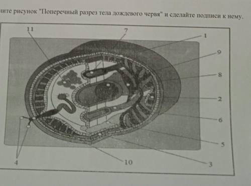 нужно строение подписи к цифрам.