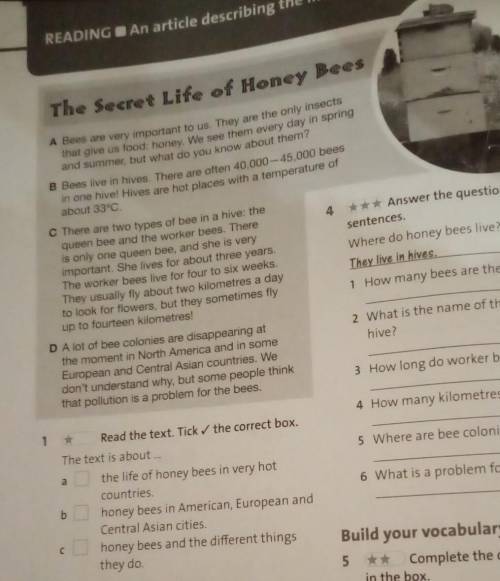 Read the text. Tick the correct box. The text is about the life of honey bees in very hot countries