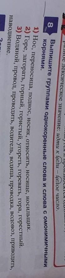 8 Выпишите группами однокоренные слова и слова с омонимичными корнями. 1) Нос, переносица, поднос, н