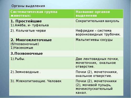 Обсудите причины и преимущества при в процессе выделения у живых организмов и представить в виде пос