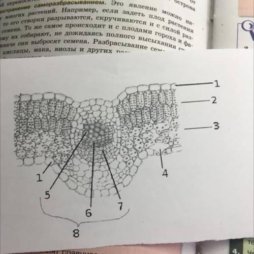 надо подписать под цифрами что это