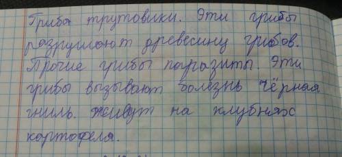 Грибы-порозиты растений-злейшие враги сельского и лесного хозяйства как сними борется