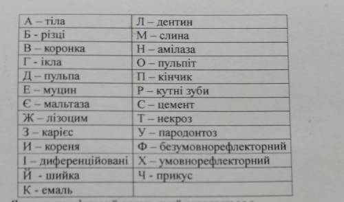 1. Язик -це м'язовий орган, який склаласться з ... 2. Людина-всеïдна істота, тому у неï зуби... 3. Н