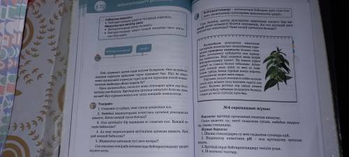 HELP AND HOMEWORK PLIZ I NOT ENGLISH HELP!!