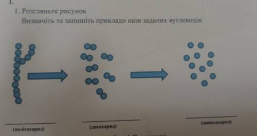 1. Розгляньте рисунок Визначіть та запишіть приклади назв заданих вуглеводів.