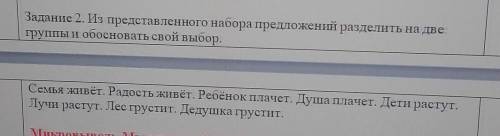 Задание 2. Из представленного набора предложений разделить на две группы и обосновать свой выбор. Се