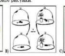 установите, какие результаты демонстрируют опыты по исследованию различных условий протекания фотоси