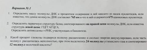 определить массу молекулы днк и процентное содержание в ней каждого из видов нуклеотидов, если извес