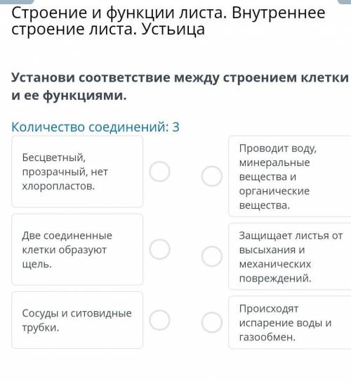 Строение и функции листа. Внутреннее строение листа. Устьица Установи соответствие между строением к