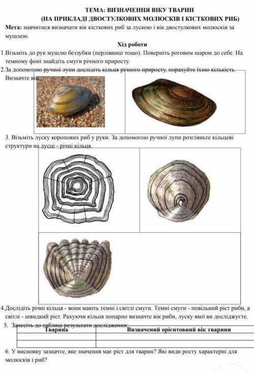 Лабораторне дослідження Визначення віку тварин (на прикладі двостулкових молюсків і кісткових риб)