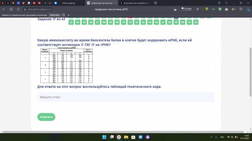 Какую аминокислоту во время биосинтеза белка в клетке будет кодировать иРНК, если ей соответствует а