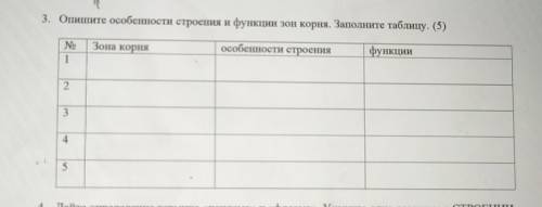 3. Опишите особенности строения и функции зон корня. Заполните таблицу. (5) Зона корня особенности с