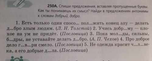 250А. Спиши предложения, вставляя пропущенные буквы. Как ты понимаешь их смысл? Найди в предложениях