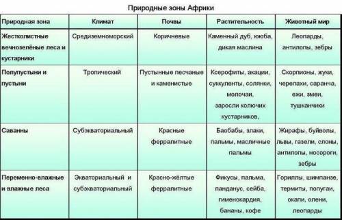 Таблица природные зоны Африки 1 столбик - природные зоны 2 столбик - климатический пояс 3 столбик