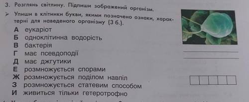 3. Розглянь світлину. Підпиши зображений організм. Упиши в клітинки букви, якими позначено ознаки, х