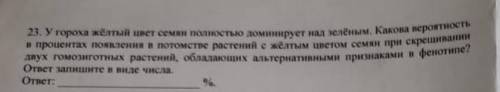 У гороха жёлтый цвет семян полностью доминирует над зелёный. Какова вероятность в процентах появлени