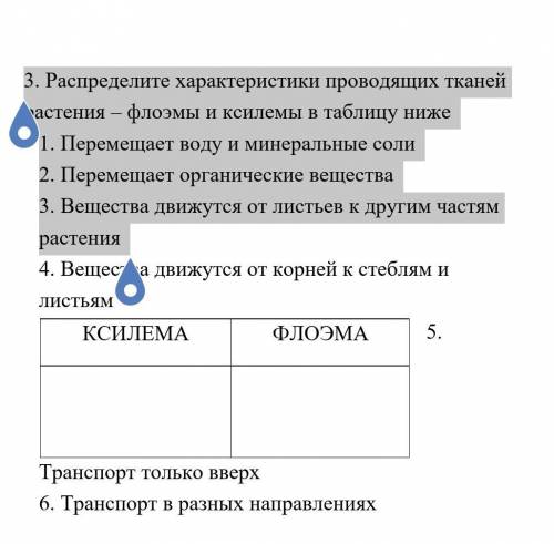 3. Распределите характеристики проводящих тканей растения – флоэмы и ксилемы в таблицу ниже 1. Перем