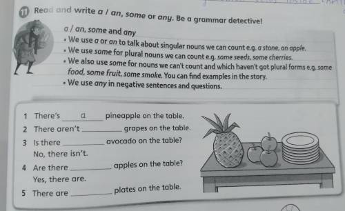 11 Read and write a / an, some or any. Be a grammar detective! any smal seeds inside cherre. a/an, s