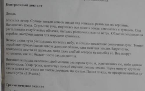 Грамматическое задание Спишите, расставьте знаки препинания. Произведите полный синтаксический разбо