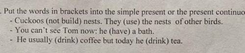 3. Put the words in brackets into the simple present or the present continuous tense. Cuckoos (not b