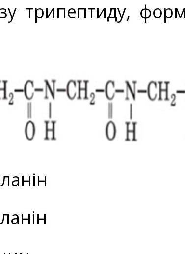 Укажіть амінокислоту, що утвориться в результаті гідролізу трипептиду, формула якого : (на фото)β-ал