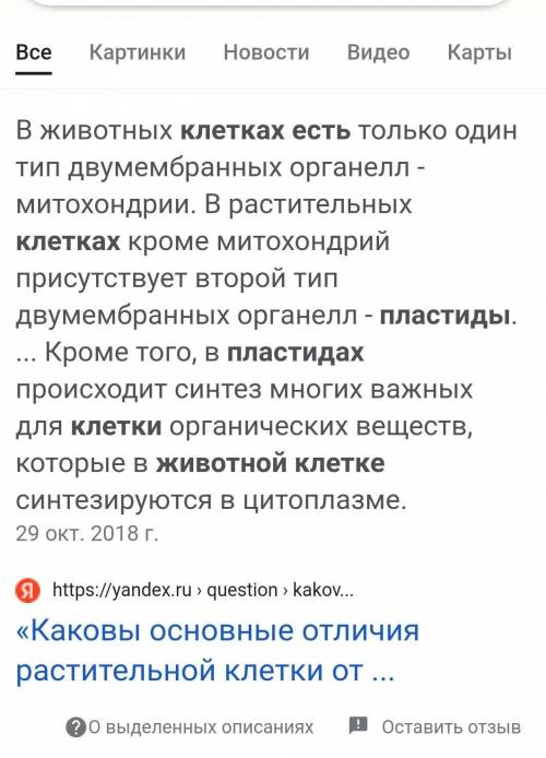 Есть ли пластиды в клетках бактерии грибов и животных